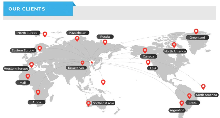 Brand New Camo Sports Suit Female Two-Pieces Gym Clothing Yoga Set Running Workout Sport Wear for Women Leggings Sportswear