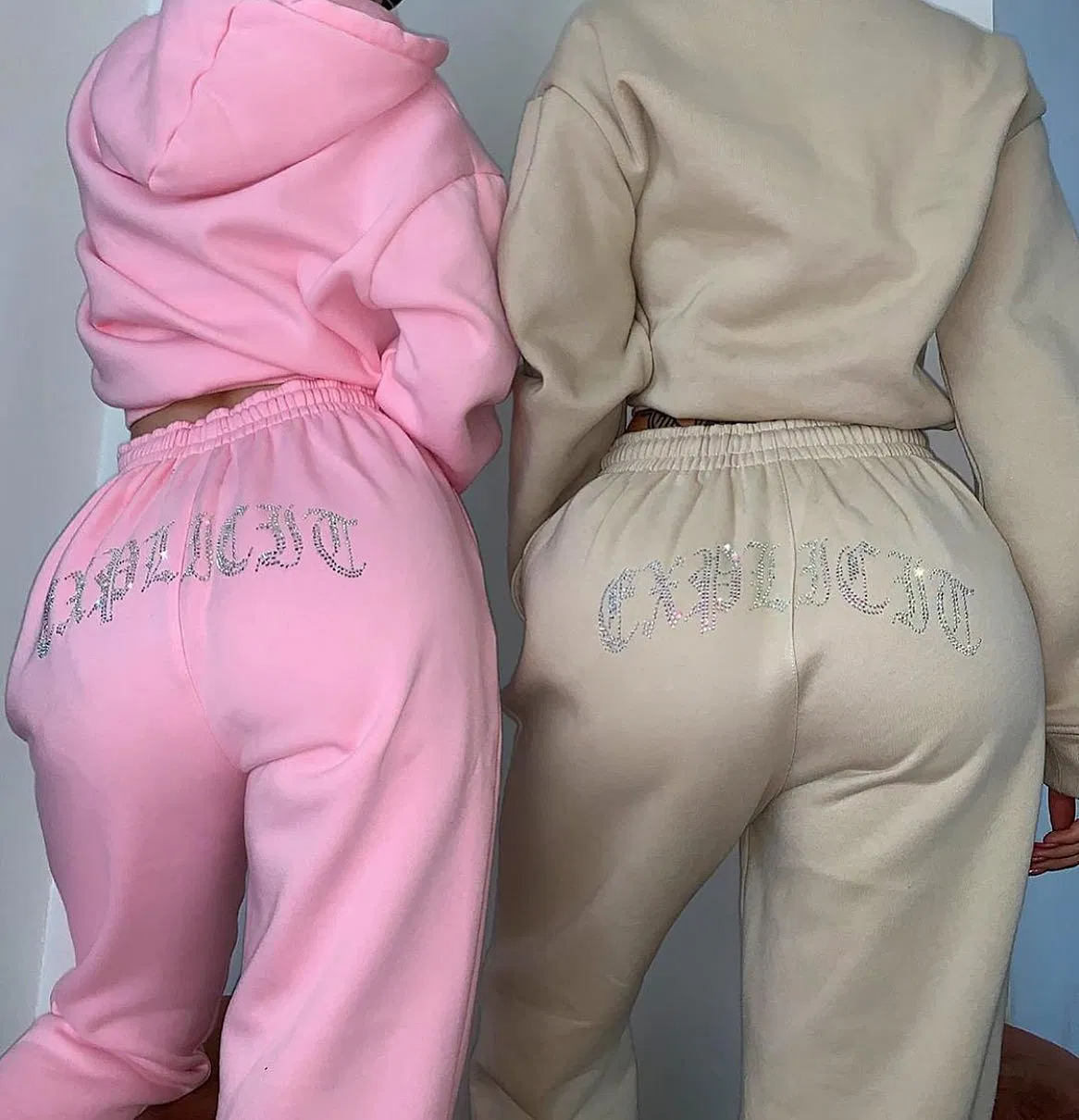 Custom Logo Private Label Slim Fit Hoodie Jogging Suit Women Plain Sweat Suits Set Tracksuit Sweatsuit