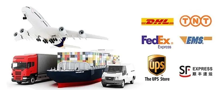 Custom Sublimated Hawaiian Shorts New Designs Holiday Shorts