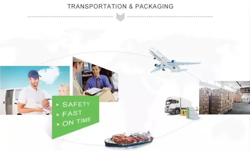 Customizable Hot Sale Ladies Seamless Panties Sexy Thong