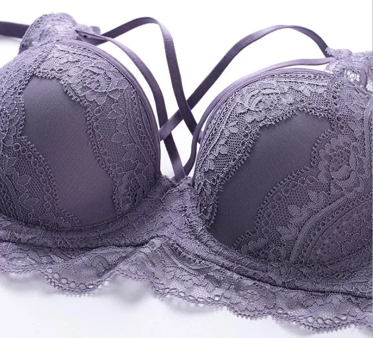 European and American New Style Gathered Adjust Bra Sexy and Sweet Lace Bra Suit