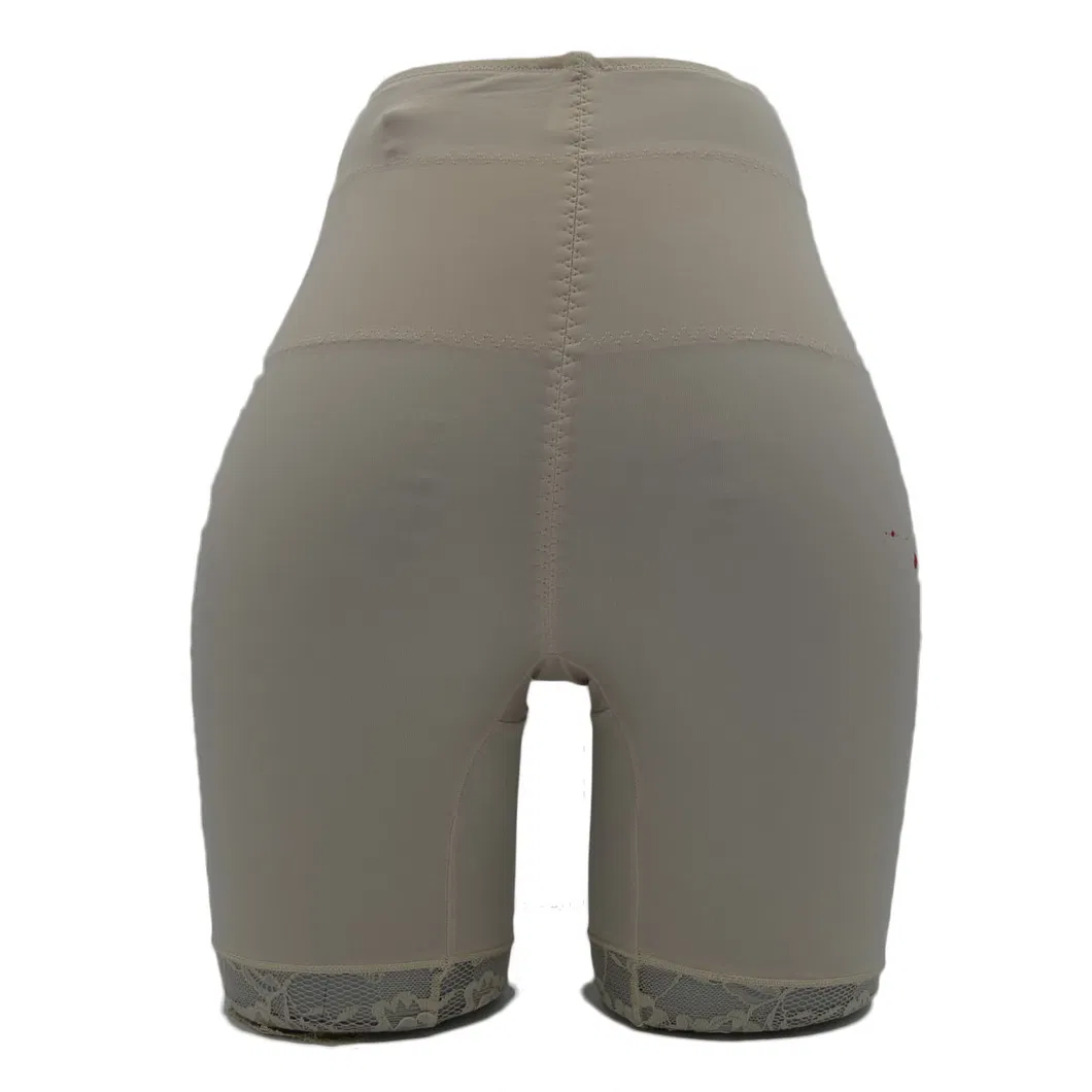 High Quality OEM Women Underwear Long Leg Lace Lady Panty (JMC22025)