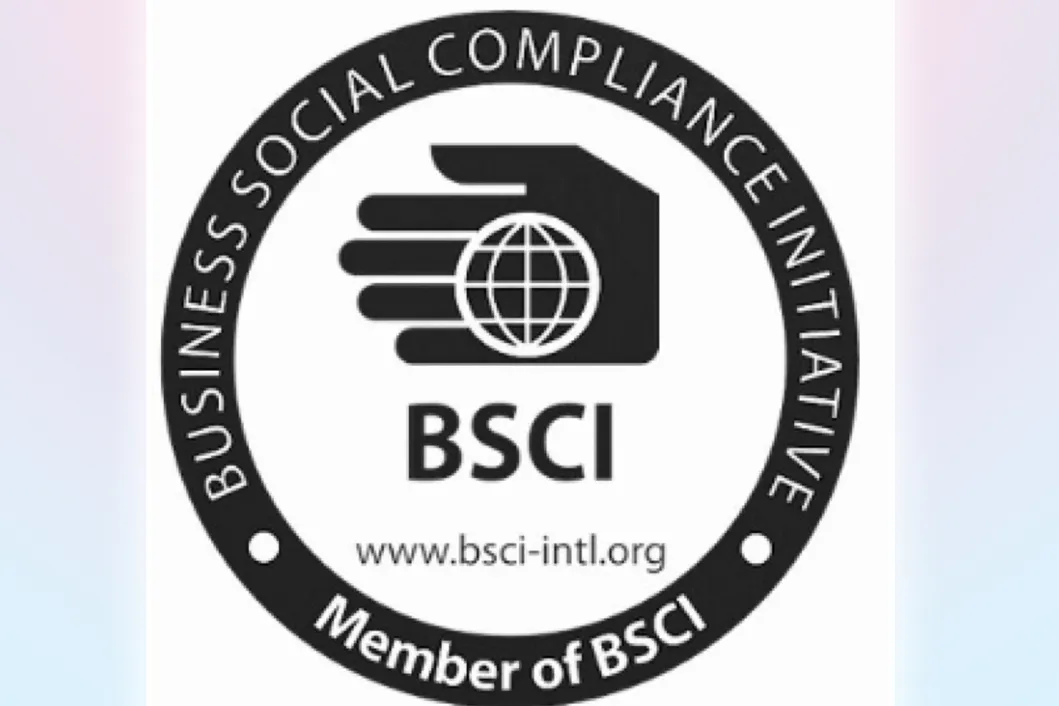 Knitting Wear Ladies Knitted Pullover with Wool Sweaters