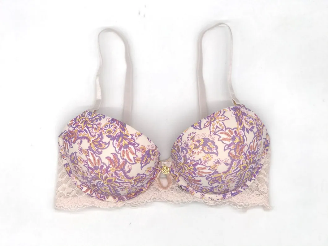 Ladies Fashion Bra Sexy Underwear Ladies Underwear Ladies Lingerie Sexy Underwear Ladies Fashion Flower Printed Bra with Lace Wings-BSCI/Walmart