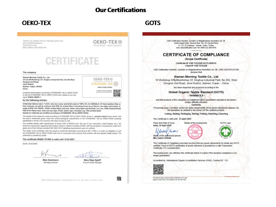 Latest Fashion Ladies Push up Wireless Net Girl 32b 34b Bra Size Images Women Sexy Bra