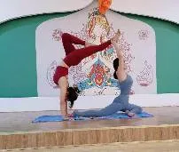 New Arrivals of Sport Pants Yoga Leggings Underwear Briefs