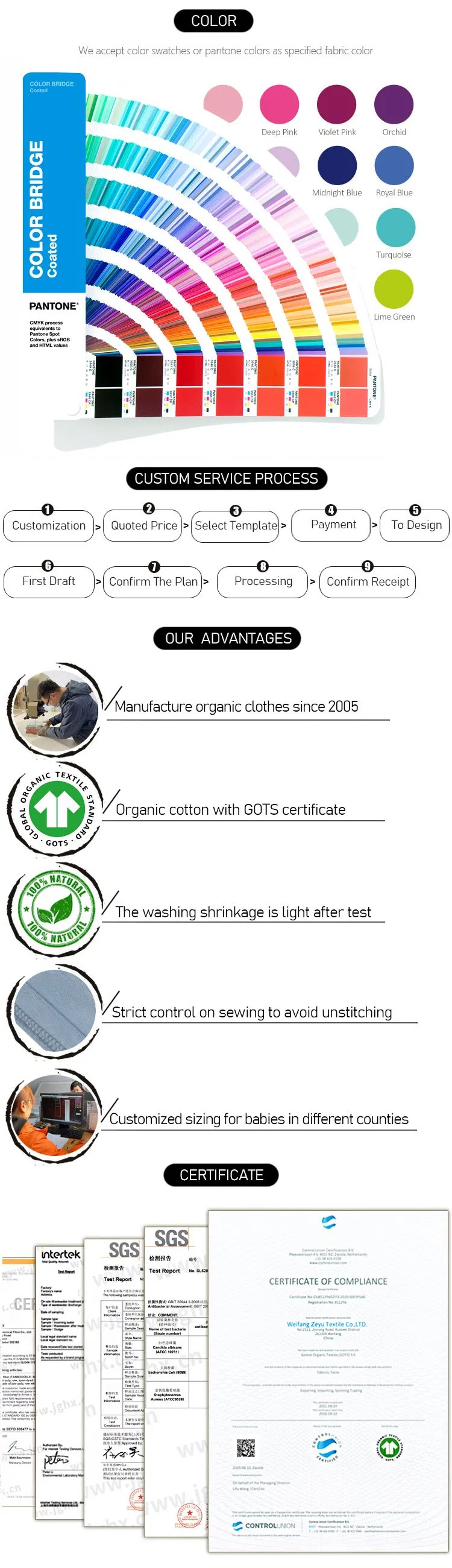 Organic Cotton Women Sweat Shorts Sustainable Plain Sweat Shorts Eco Friendly Women Fleece Sweat Shorts Sweatpant Shorts Women