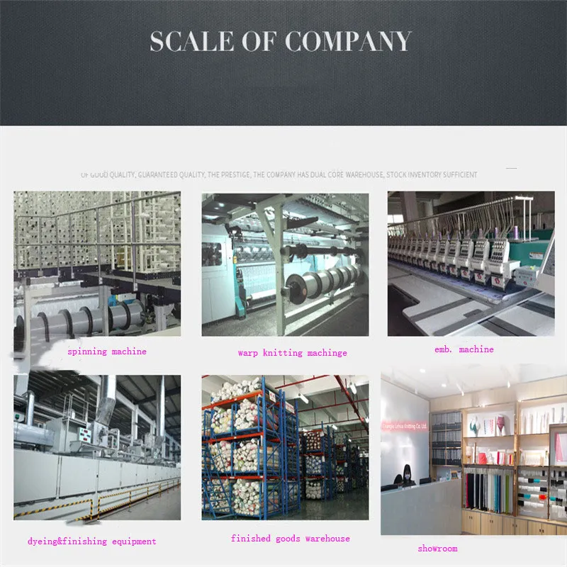 The Thin Ice Silk Stripe Lace Edge Lightly Skilled Hollow out Sexy Perspective Air Lady Low Waist Cotton Crotch Underwear Woman