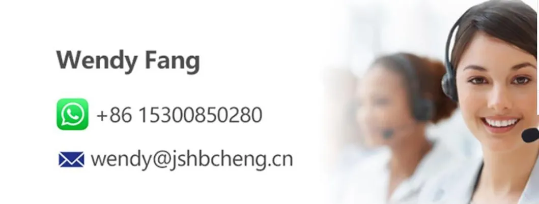 Wholesale Best Belts Private Label Custom Logo Latex Waist Trainer Slimming Belt Corset Steel Boned Waist Trainer